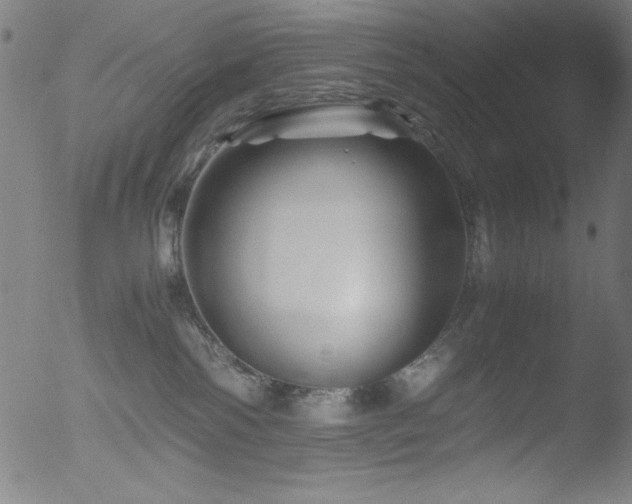 X0000053090138200507111207