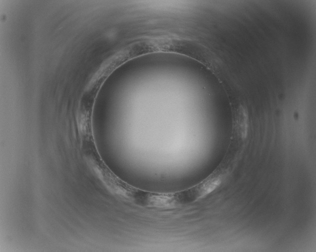 X0000053090139200507111207