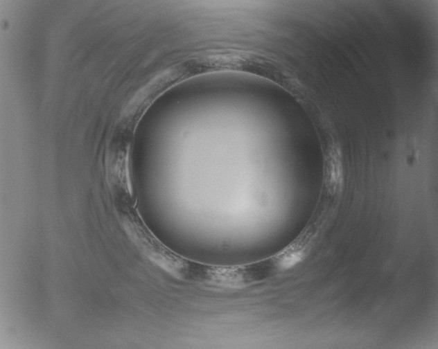 X0000053090141200507111207