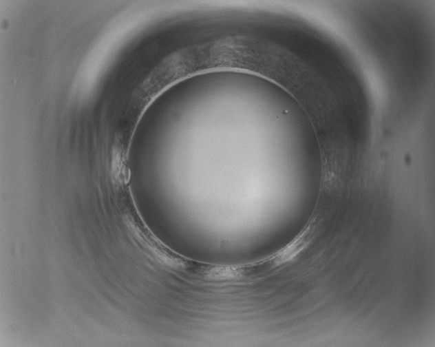 X0000053090142200507111207