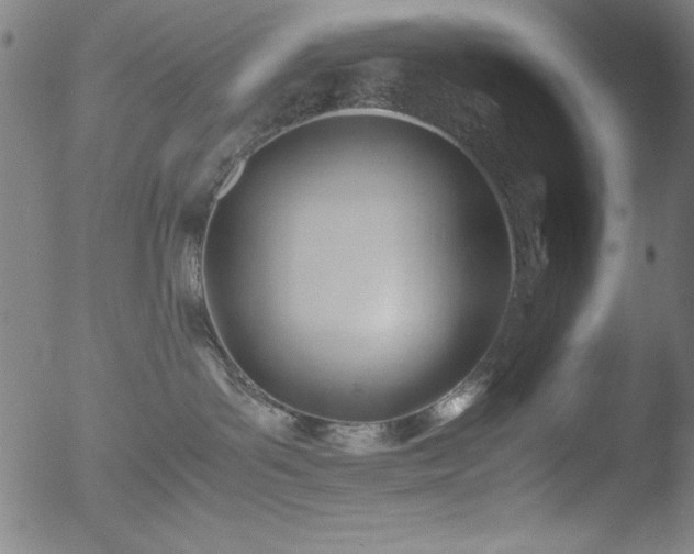 X0000053090143200507111207