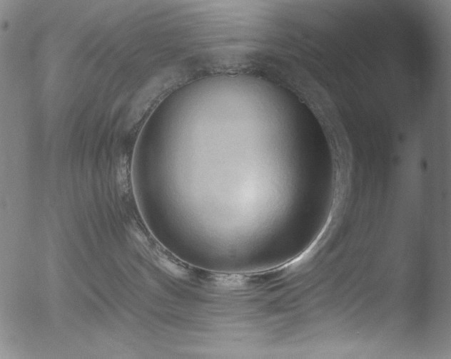 X0000053090144200507111207