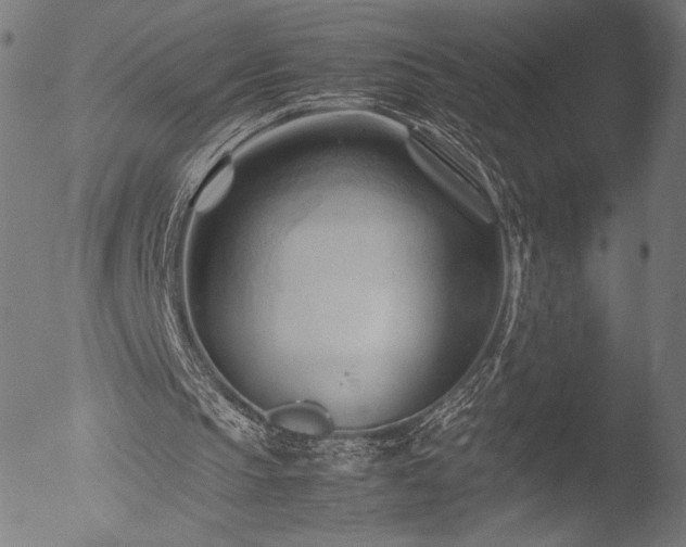 X0000053090145200507111206