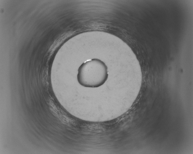 X0000053090146200507111206