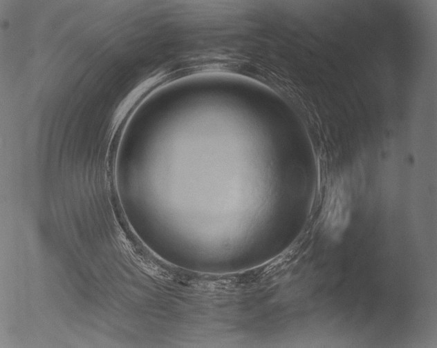 X0000053090147200507111206