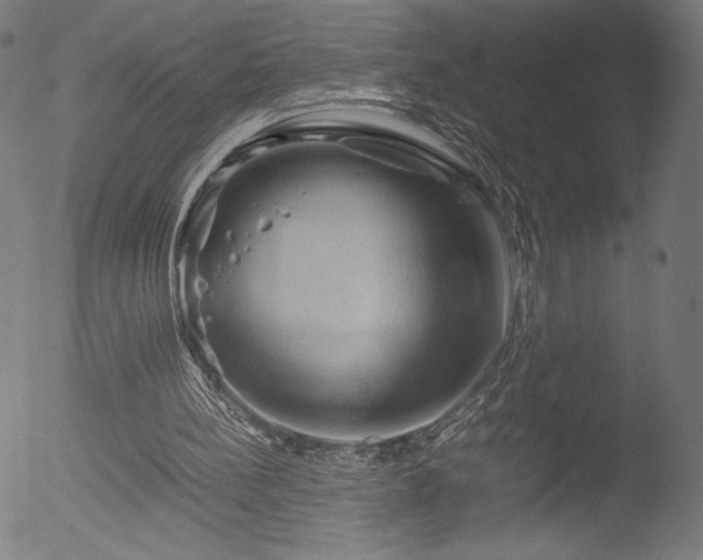 X0000053090148200507111206