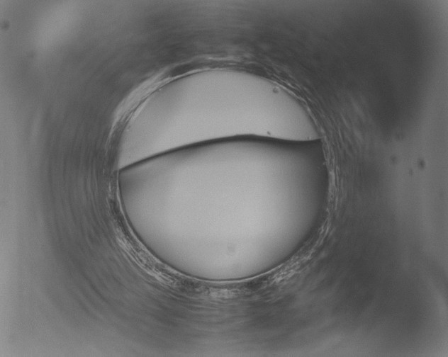 X0000053090149200507111206