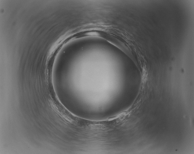 X0000053090150200507111206