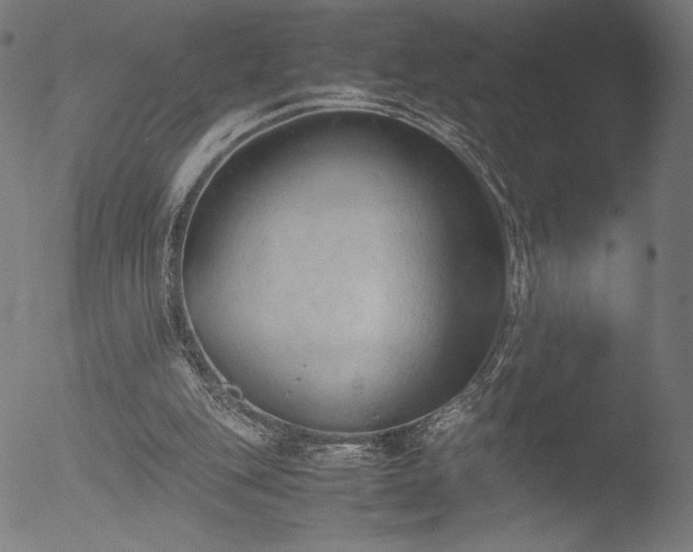 X0000053090151200507111206