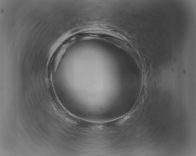 X0000053090152200507111206