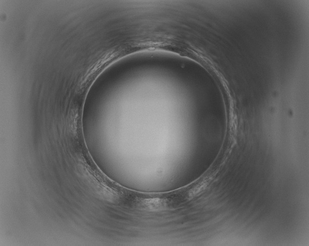 X0000053090153200507111206