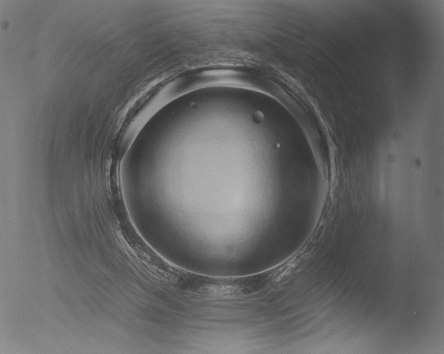 X0000053090154200507111206