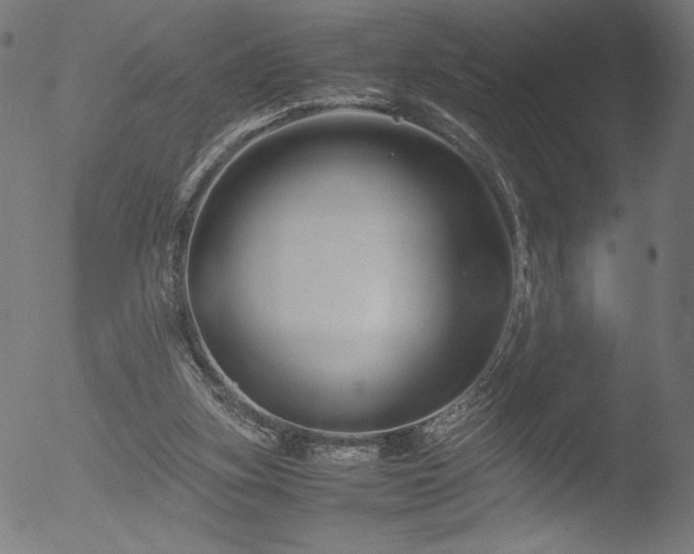 X0000053090155200507111206