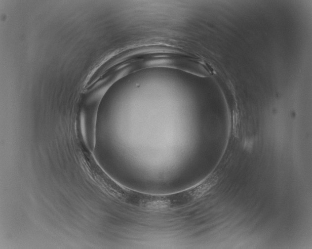 X0000053090156200507111206