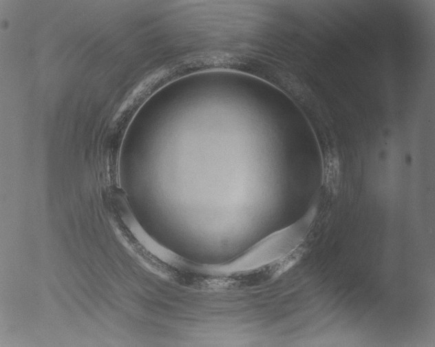 X0000053090158200507111206