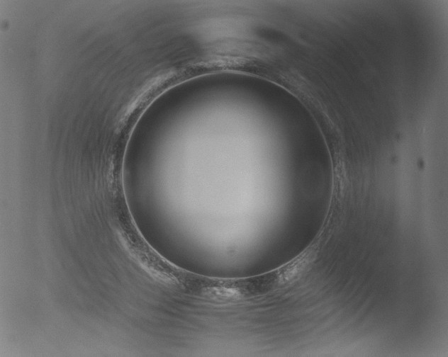 X0000053090159200507111206