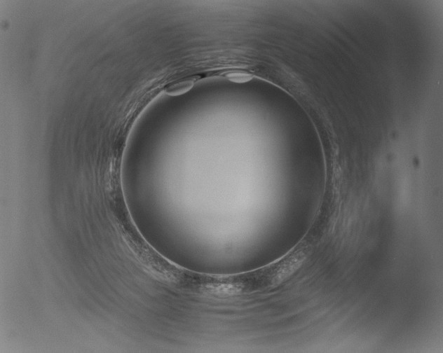 X0000053090161200507111206