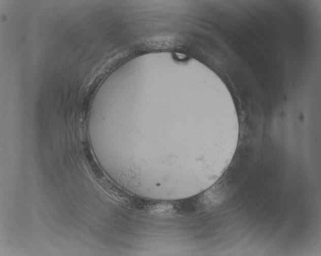 X0000053090162200507111206