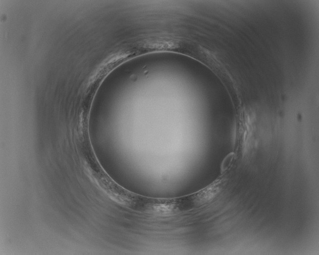 X0000053090163200507111207