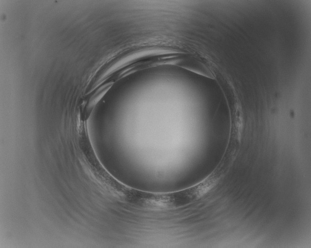 X0000053090164200507111207