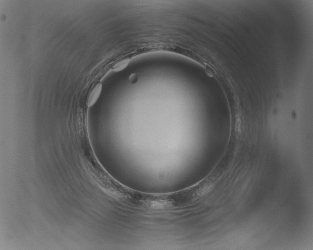 X0000053090165200507111207