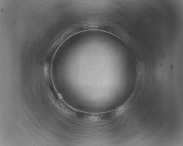 X0000053090166200507111207