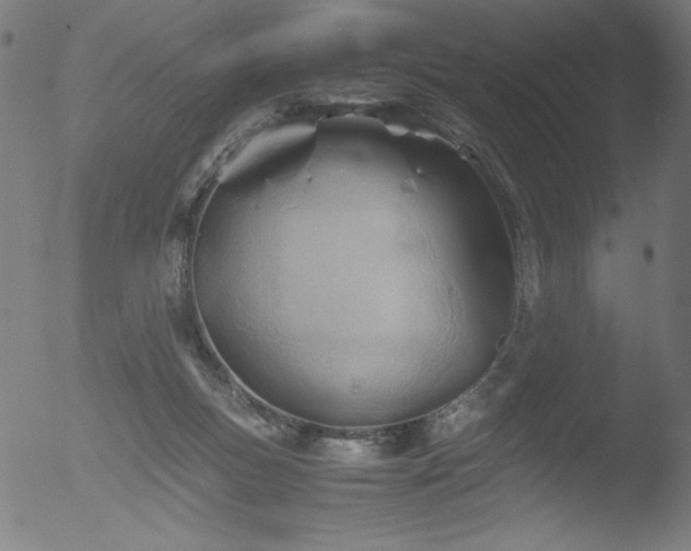 X0000053090167200507111207