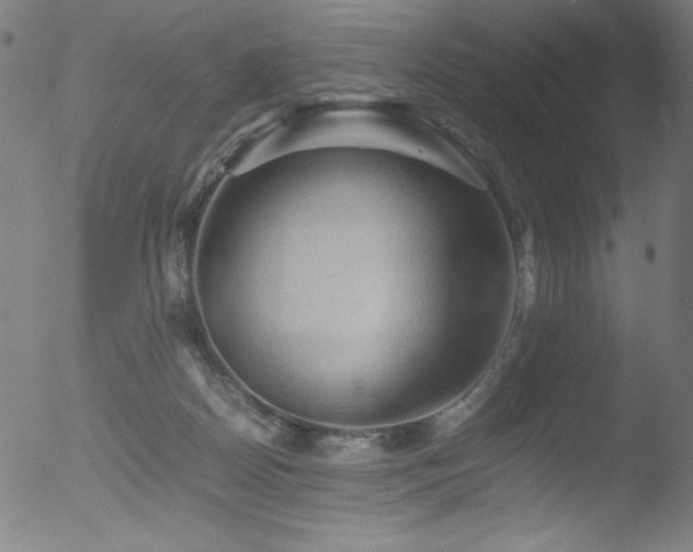 X0000053090170200507111207