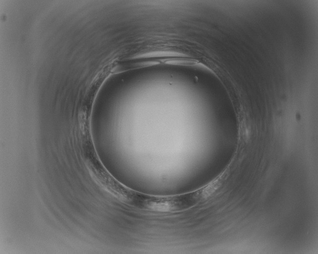 X0000053090171200507111207