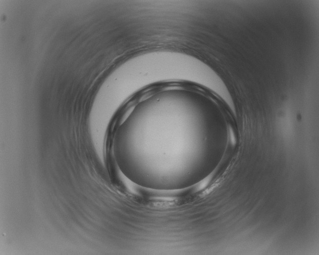 X0000053090172200507111207