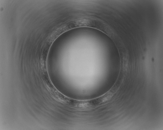 X0000053090173200507111207