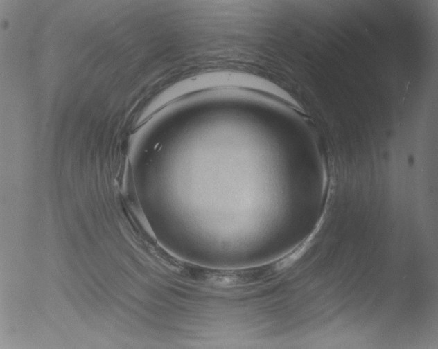 X0000053090174200507111207