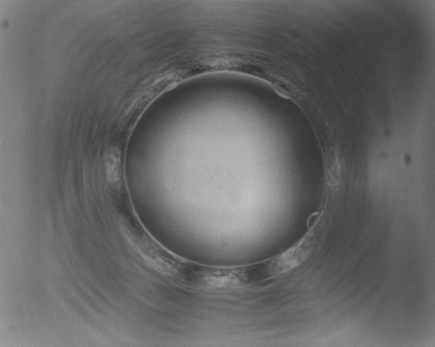 X0000053090175200507111207