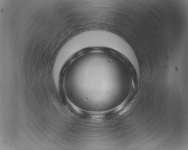 X0000053090176200507111207