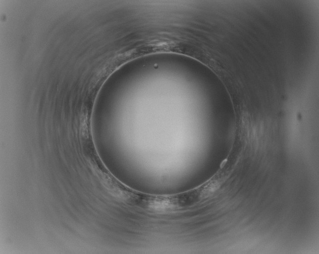 X0000053090177200507111207