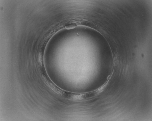 X0000053090178200507111207