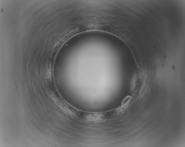 X0000053090179200507111207