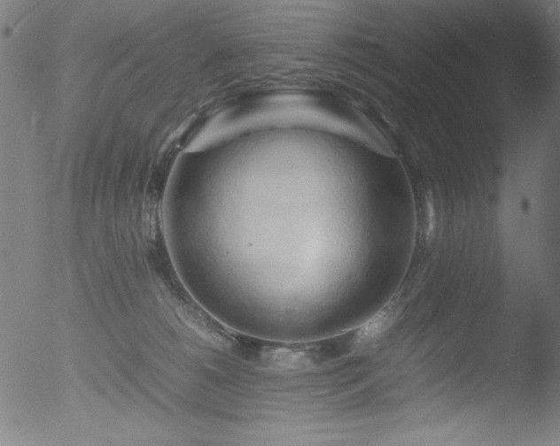 X0000053090180200507111207