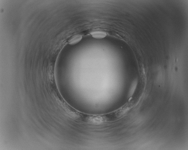 X0000053090181200507111207