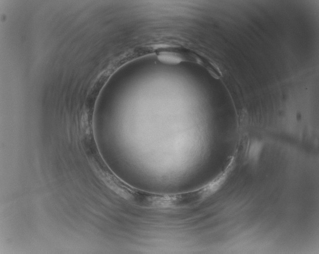 X0000053090182200507111207