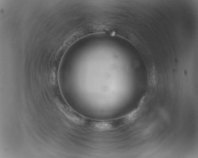 X0000053090183200507111207