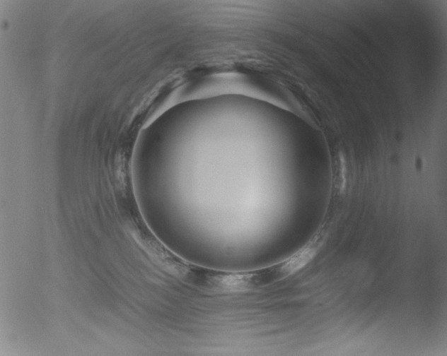 X0000053090184200507111207