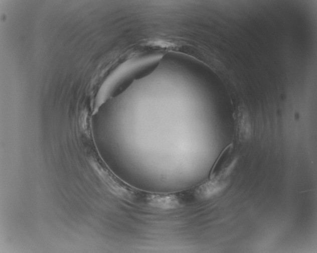 X0000053090185200507111207