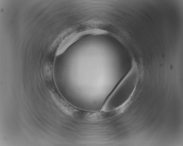 X0000053090186200507111207