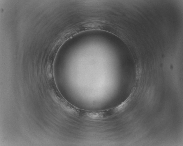 X0000053090187200507111207