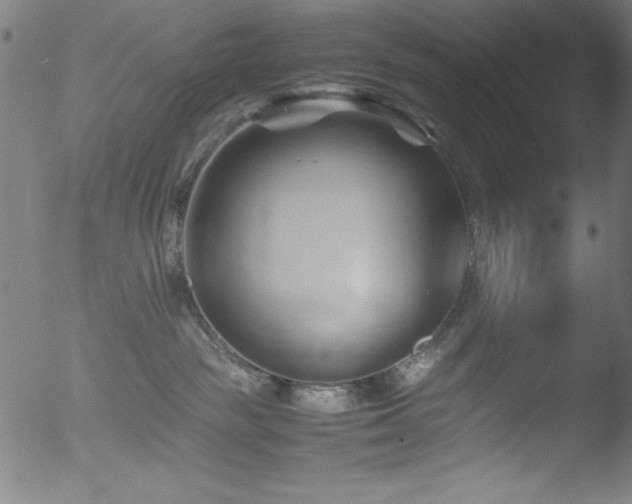 X0000053090189200507111207