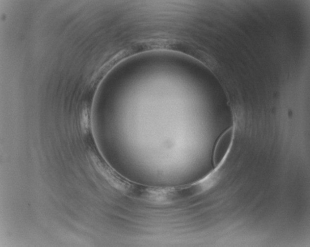 X0000053090190200507111207