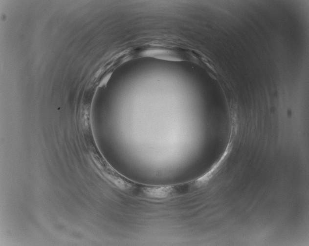 X0000053090191200507111207