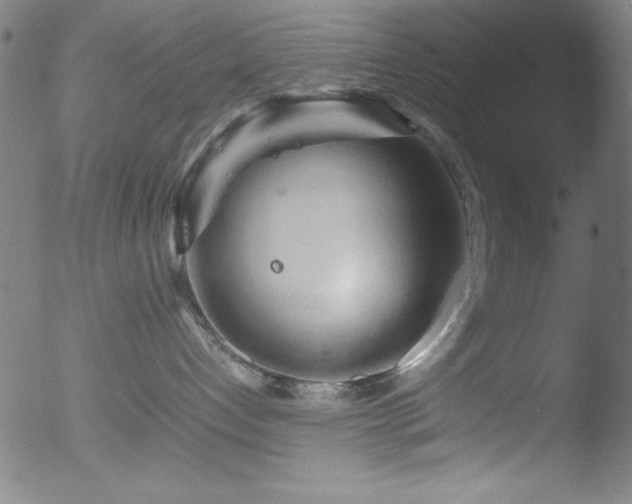 X0000053090192200507111207