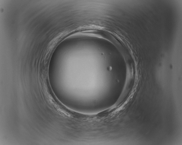 X0000053090193200507111206